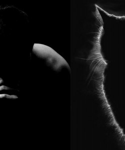 Массажный салон Спортивная реабилитация 