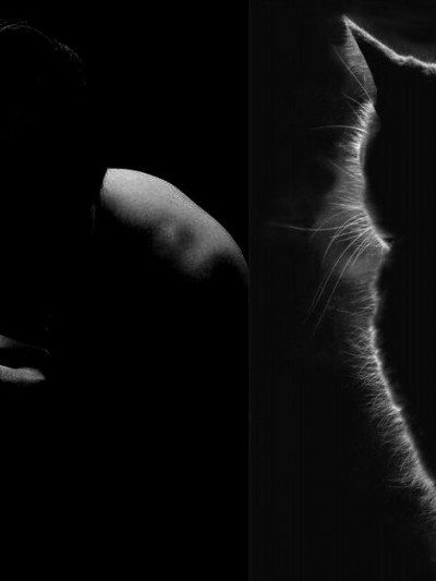 Массажный салон Спортивная реабилитация 